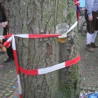 2016-02-06 Optocht kijken 19 2016-02-06 Optocht kijken 19